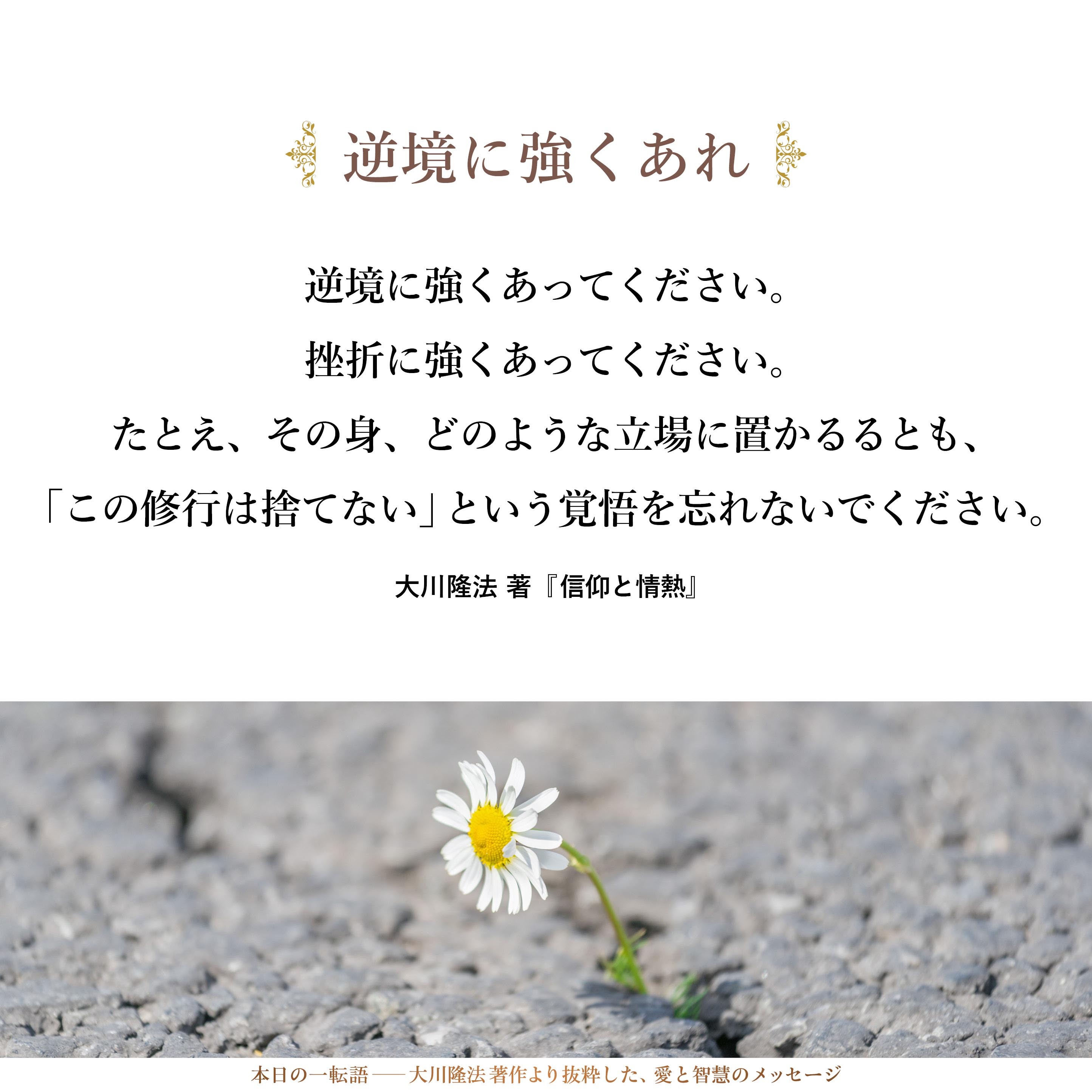 逆境に強くあってください。
挫折に強くあってください。
たとえ、その身、どのような立場に置かるるとも、
「この修行は捨てない」という覚悟を忘れないでください。