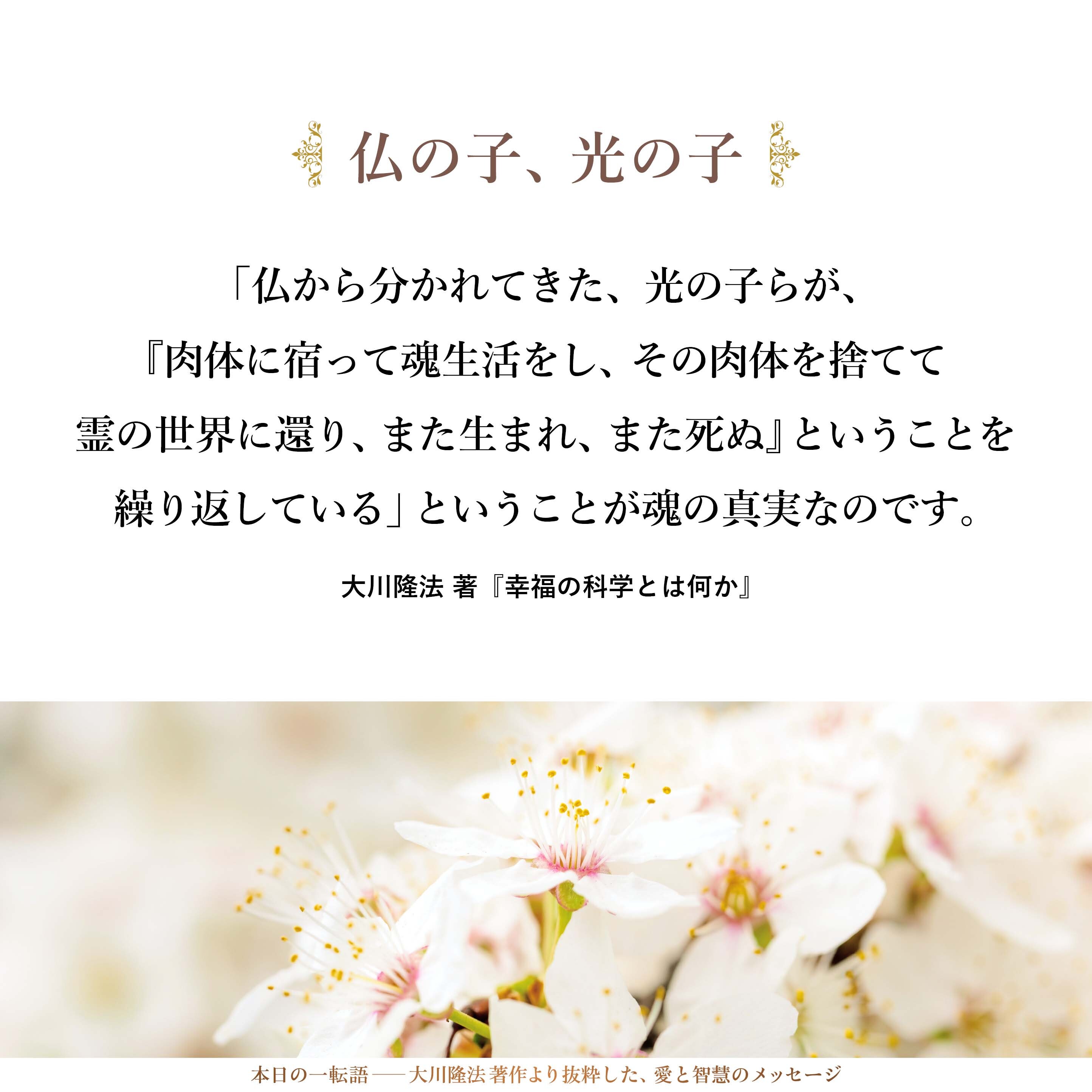 人間は、遙かなる昔に仏の巨大な意識が分かれてできた霊体であり、散乱した個性の一部なのです。それゆえに、「仏から分かれた、仏の子、光の子である」と言われているのです。
「仏から分かれてきた、光の子らが、『肉体に宿って魂生活をし、その肉体を捨てて霊の世界に還り、また生まれ、また死ぬ』ということを繰り返している」ということが魂の真実なのです。