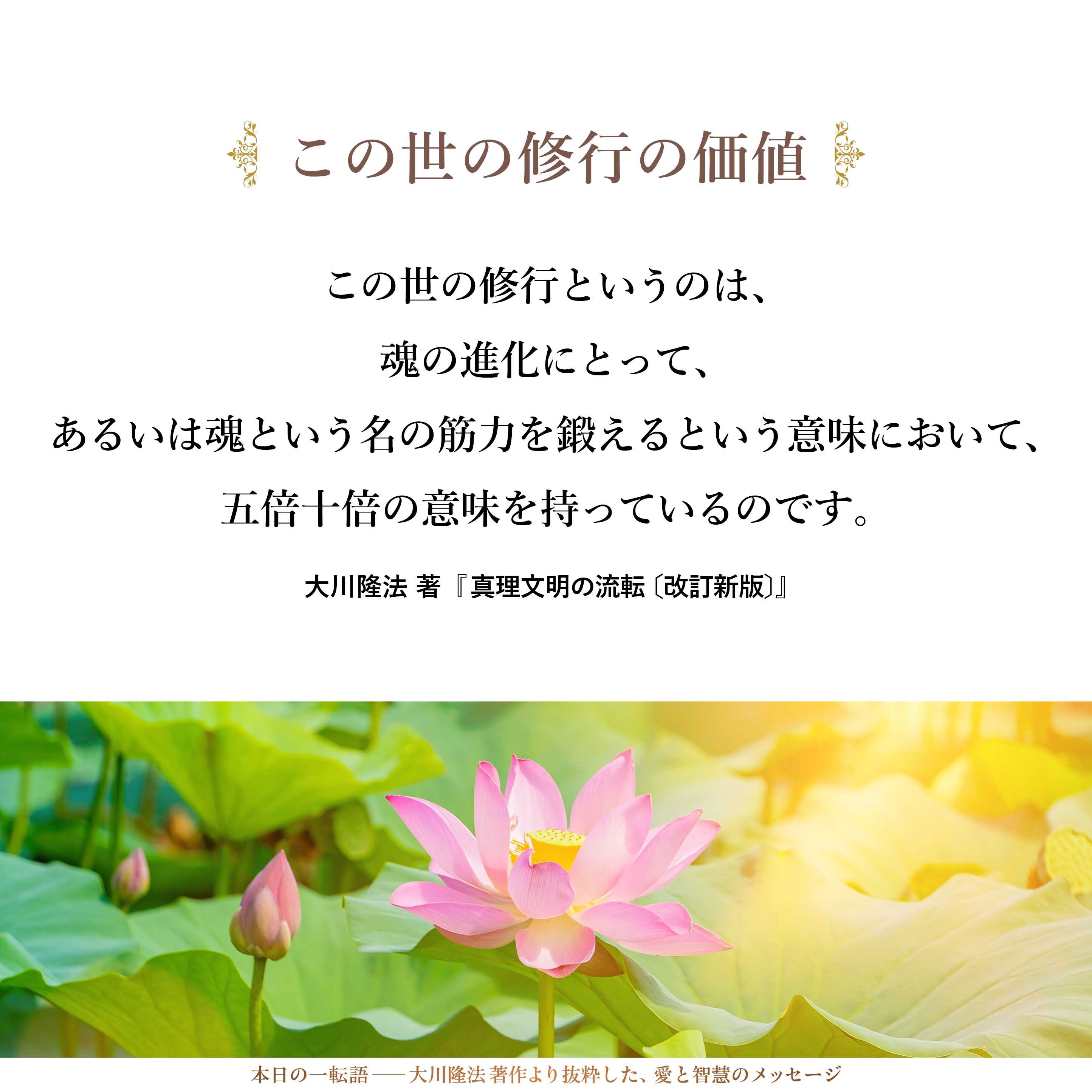 この世の修行というのは、魂の進化にとって、あるいは魂という名の筋力を鍛えるという意味において、五倍十倍の意味を持っているのです。この世において、私たちが一年という時間のなかで学び得るものは、天上界における十年にも匹敵するということが言われているのです。