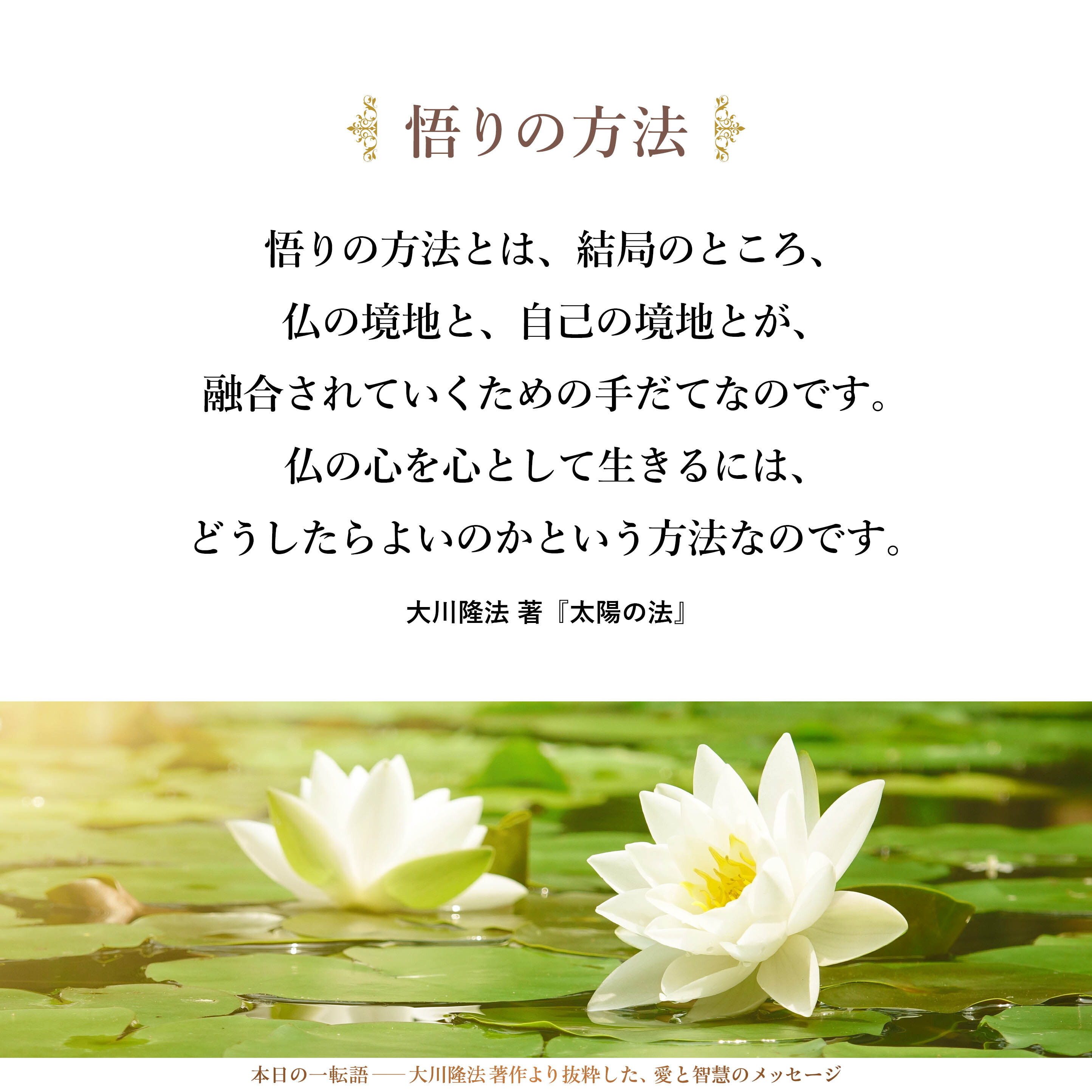 悟りの方法とは、結局のところ、仏の境地と、自己の境地とが、融合されていくための手だてなのです。仏の心を心として生きるには、どうしたらよいのかという方法なのです。真理にそった生き方とは何かを探ることなのです。
そのために、ひとつには真説・八正道の道があり、いまひとつには、愛の発展段階説があるのです。