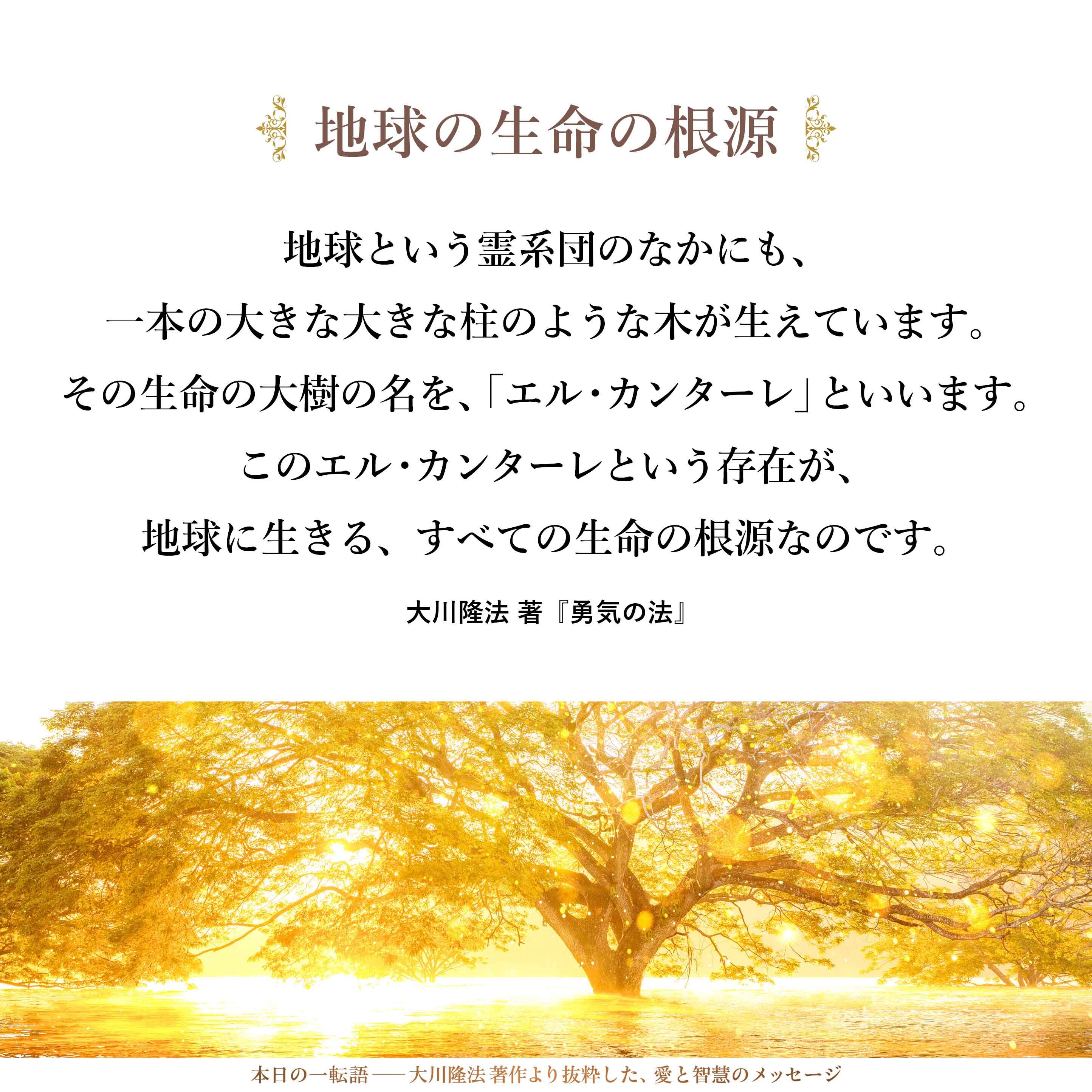 宇宙を貫く、この大木は、大きな視点で見ると、地球というレベルを超えて、全宇宙にまで、その枝を伸ばしている大木です。
これを地球的視点から見ると、地球という霊系団のなかにも、一本の大きな大きな柱のような木が生えています。
その生命の大樹の名を、「エル・カンターレ」といいます。
このエル・カンターレという存在が、地球に生きる、すべての生命の根源なのです。