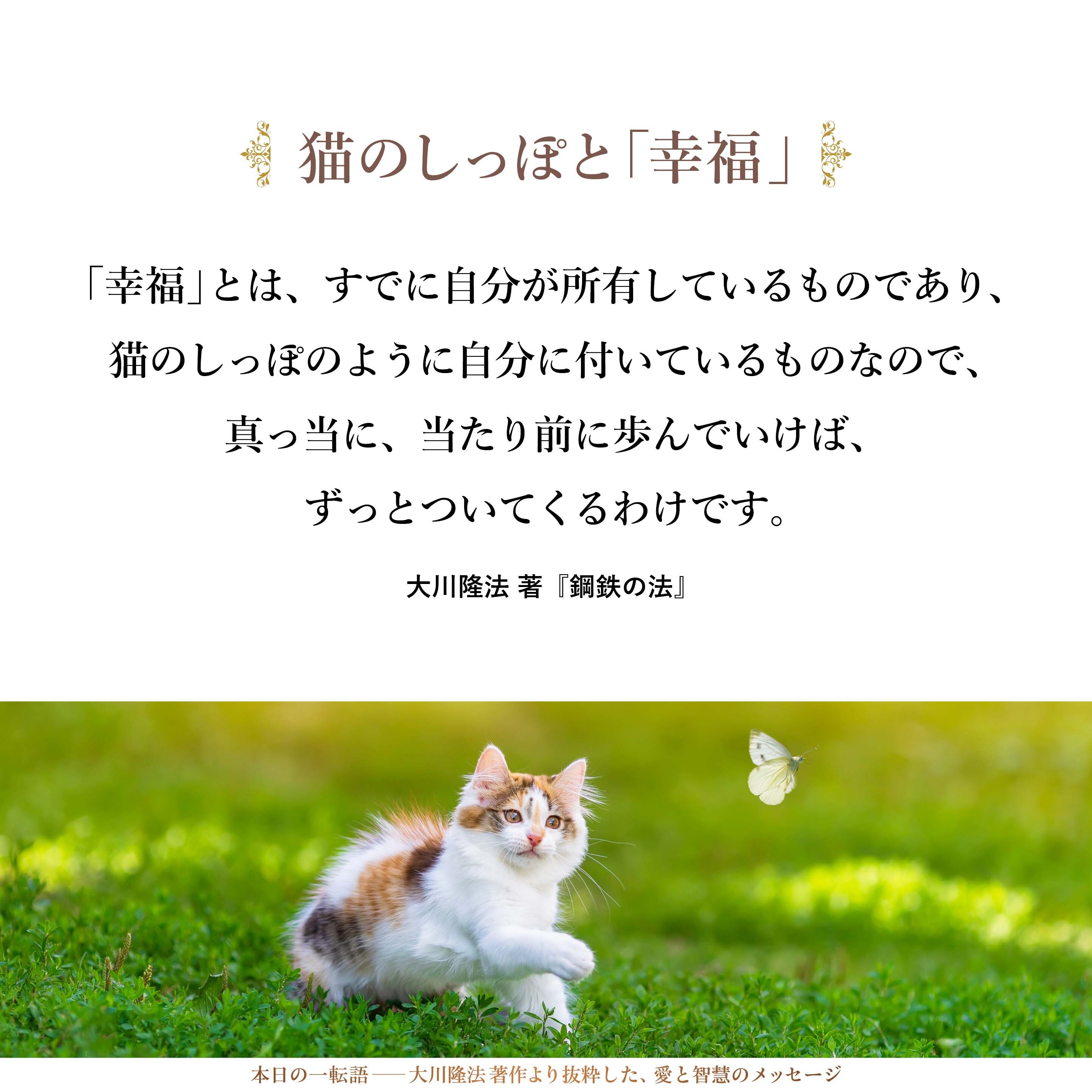 不思議なことに、「幸福」は、追いかけ回っているときには逃げていきますが、気にしないで、普通に、当たり前に、どんどん前に歩いていると、すぐ後ろからついてくるのです。
「幸福」とは、すでに自分が所有しているものであり、猫のしっぽのように自分に付いているものなので、真っ当に、当たり前に歩んでいけば、ずっとついてくるわけです。