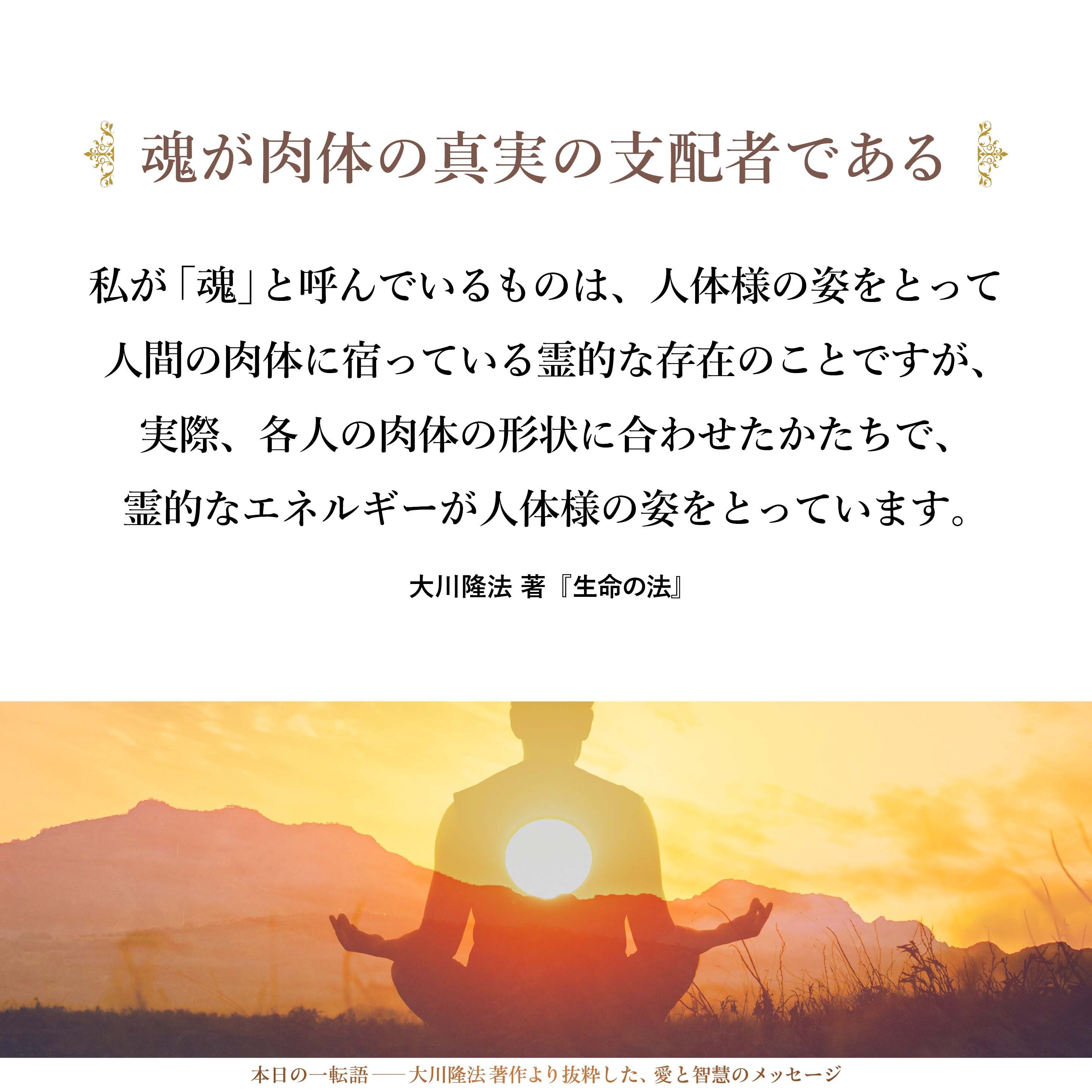 思想は自由です。学問も自由です。しかし、真理は一つです。
「人間は霊的な存在である」という命題の真偽について、結論は一つであり、「真でもあり、偽でもある」という立場はありません。
私が「魂」と呼んでいるものは、人体様の姿をとって人間の肉体に宿っている霊的な存在のことですが、実際、各人の肉体の形状に合わせたかたちで、霊的なエネルギーが人体様の姿をとっています。