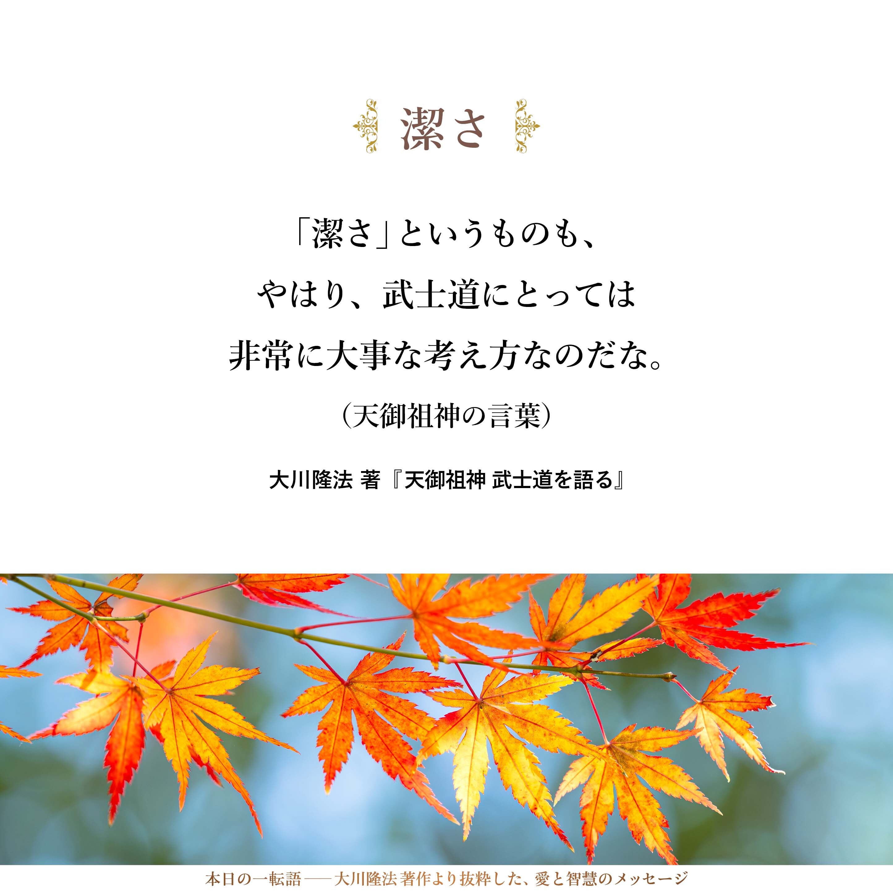 「潔さ」というものも、
やはり、武士道にとっては非常に大事な考え方なのだな。
自分の我欲を実現することばかり人は望みがちであるが、
それは、獣や、あるいは昆虫らと、
そう大きく変わらないものではあるのでね。
「潔さ」ということも大事なので。

（天御祖神の言葉）