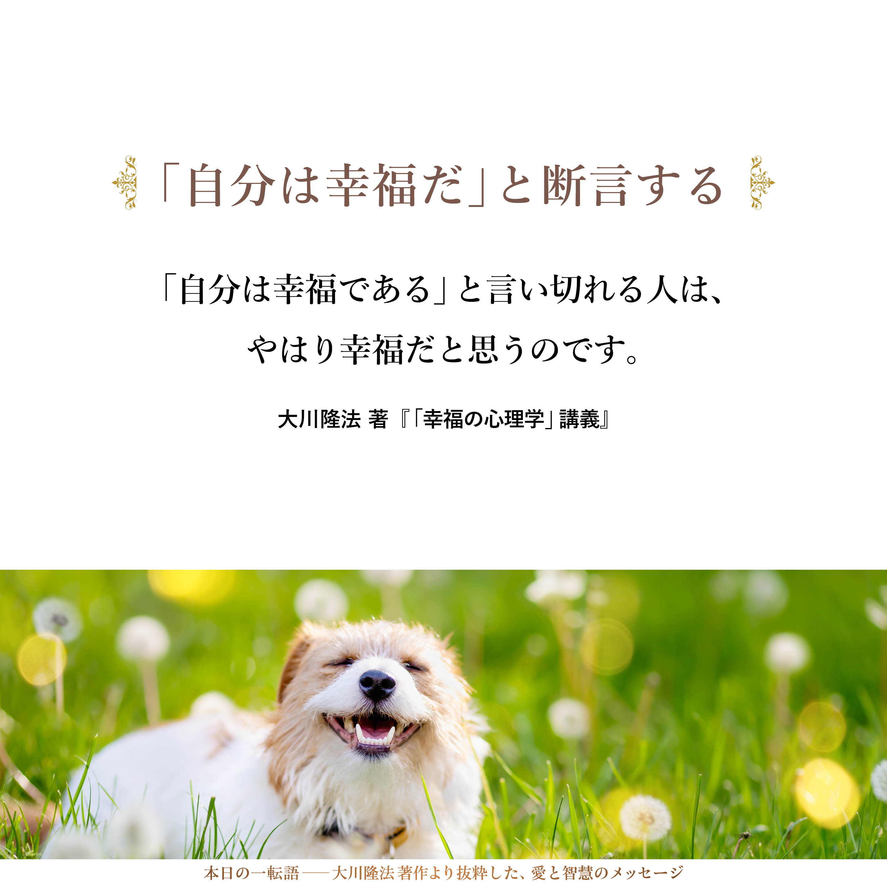 自分が与えられた環境のなかで、自分にとって可能な幸福を花開かせることはできると思うのです。
その意味で大切なのは、「相対的な幸福」「人との比較における幸福」ではなくて、「絶対幸福」とも言うべきもの、「絶対的な幸福」でしょう。「自分は幸福である」と言い切れる人は、やはり幸福だと思うのです。