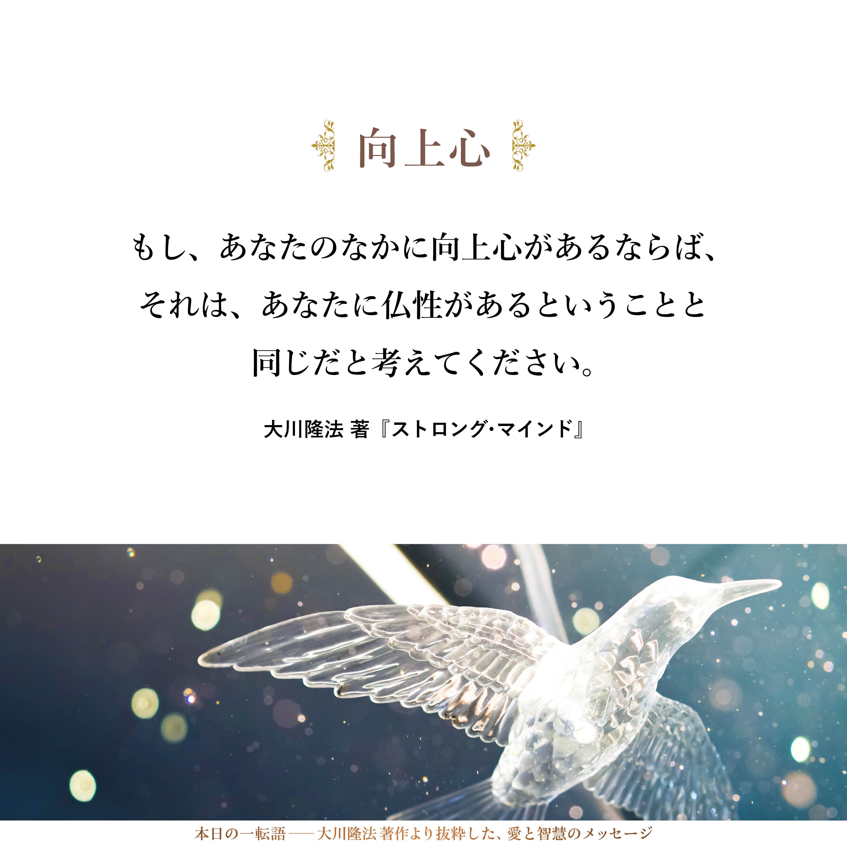 もし、あなたのなかに向上心があるならば、それは、あなたに仏性があるということと同じだと考えてください。
