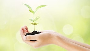 Q.「お布施（ふせ）」とはなんですか？