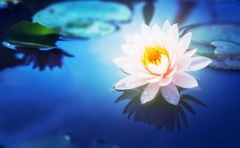 正しい供養、まちがった供養【霊的世界のほんとうの話】