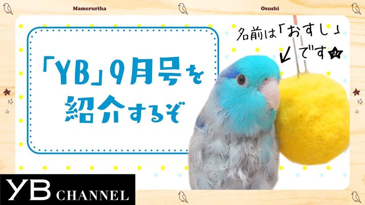 【青い鳥が1分で紹介】月刊ヤング・ブッダ(YB)2018年9月号【幸福の科学】