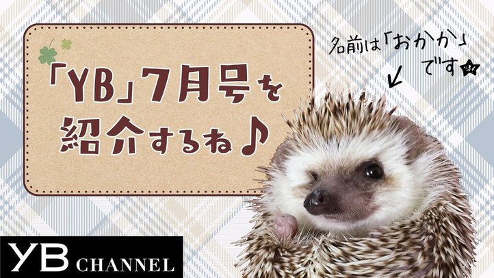 【ハリネズミが1分で紹介】月刊ヤング・ブッダ(YB)2018年7月号【幸福の科学】