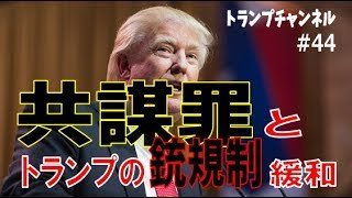 共謀罪とトランプの銃規制緩和〈トランプ・チャンネル#44 幸福実現党〉