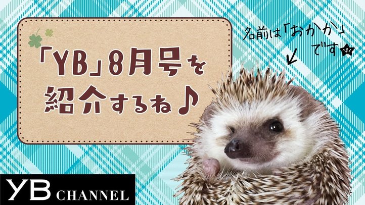 【ハリネズミが1分で紹介】月刊ヤング・ブッダ(YB)2018年8月号【幸福の科学】