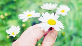 成仏した人(天国に還った人)にも、お彼岸やお盆に供養が必要ですか?【霊的世界のほんとうの話】