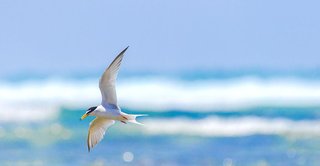 夫の浮気、子どもの失踪【体験談】