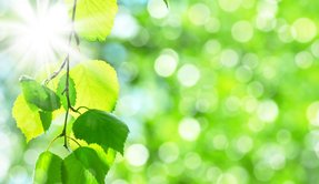 乳がんの克服体験 余命5カ月、運命を変えた心の力