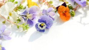 Q.幸福の科学の「祭具」や「宝具」にはどんなものがありますか。