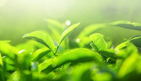 膀胱がんを克服 原因は「心の毒」だった!?