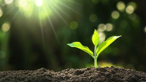 Q. 「植福の会」のクレジットカード／銀行口座を変更したい。