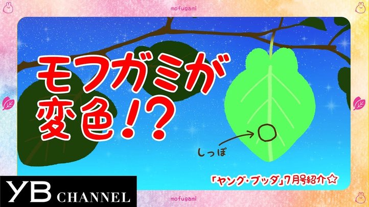 【夏といえばスピリチュアル】月刊「ヤング・ブッダ」7月号【幸福の科学】
