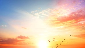 奇跡体験談―幸せを掴んだ感動の実話―