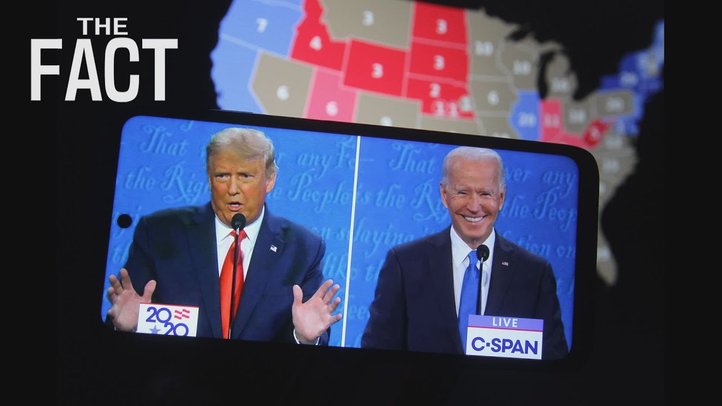 【米大統領選】誰がなぜ不正選挙を企てたのか?【ザ・ファクト×ロバート・エルドリッヂ氏】