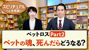 ペットロス【Part2】ペットの魂、死んだらどうなる？【HappyScienceスピリチュアル人生相談 第35回】