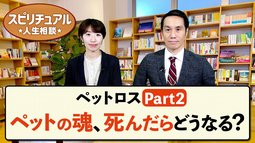 ペットロス【Part2】ペットの魂、死んだらどうなる？【HappyScienceスピリチュアル人生相談 第35回】