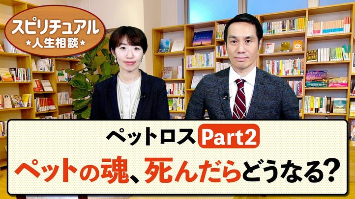 ペットロス【Part2】ペットの魂、死んだらどうなる?【HappyScienceスピリチュアル人生相談 第35回】