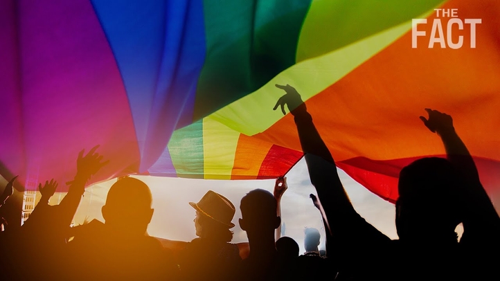 議会紛糾の埼玉LGBT条例の是非を問う!行きすぎた権利保護の果てに待つ世界とは?【ザ・ファクトREPORT】