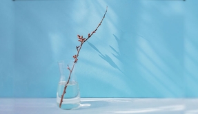 孤独の先にある光