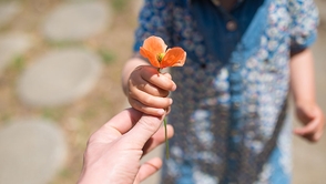親への葛藤と向き合う