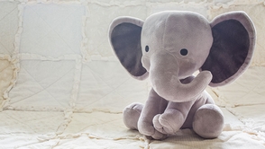 自閉症―与えられた人生の深い意味とは―