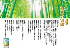 悩みの実態―大川隆法総裁 心の指針53―