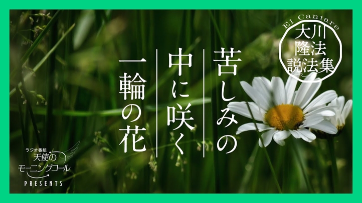 泥の中から悟りの花を咲かせよ【大川隆法説法集 Vol.15】
