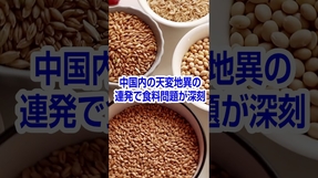 #習近平批判 #処理水 #嫌がらせ電話 #恒大集団 #パンデミック #若者失業率 #経済成長率 #天変地異 #食料問題 #里村英一 #言論チャンネル #幸福実現党 #shorts