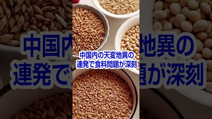 #習近平批判 #処理水 #嫌がらせ電話 #恒大集団 #パンデミック #若者失業率 #経済成長率 #天変地異 #食料問題 #里村英一 #言論チャンネル #幸福実現党 #shorts