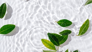 心の力で健康を取り戻す