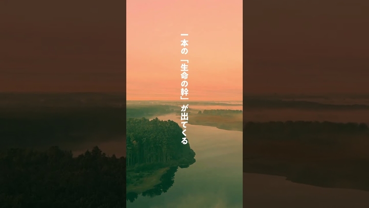 #神秘を感じる言葉 #大川隆法説法集 #ソウルメイトの秘密 #shorts