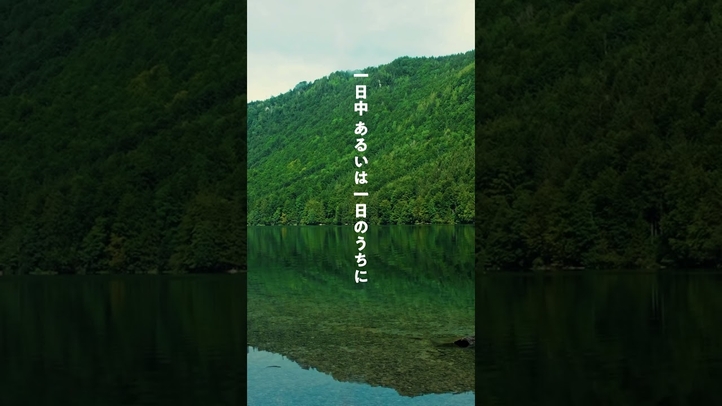 #心穏やかになる言葉 #大川隆法説法集 #平静心 #shorts