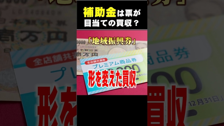 補助金は票が目当ての買収？ #shorts ＃都知事選 ＃増税