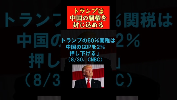 トランプの60%関税で中国経済が崩壊  #shorts ＃習近平 ＃EV