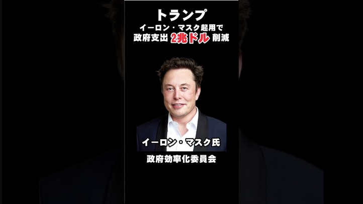 イーロン・マスク起用で政府支出2兆ドル削減 #shorts ＃米大統領選 #トランプ #ハリス