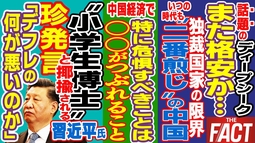 日本の銀行が危ない！？習近平による〝小学生並みの経済政策"が日本に与える影響とは～シリーズ「中国は今」（ゲスト：澁谷司氏）【ザ・ファクト】