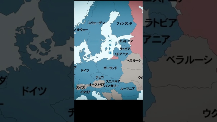 【NATO拡大】過去ロシア側が警告「続ければ紛争になる」→結果戦争に... #カルガノフ #ロシア #ウクライナ戦争 #矢野義昭 #言論チャンネル