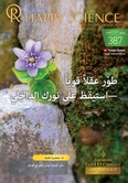 Arabic No.387