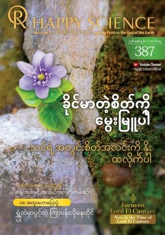 Burmese No.387