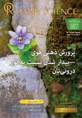 Persian No.387