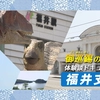 福井支部紹介　─御巡錫の奇跡─
