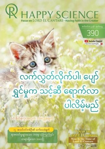 Burmese No.390