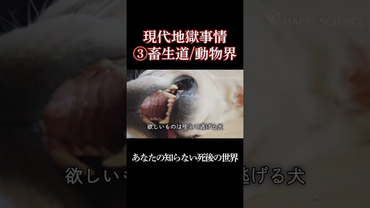 欲深い人は要注意？！ #shorts#地獄#畜生道#死後の世界#千と千尋の神隠し